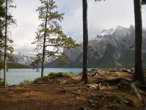 6rockies7.jpg